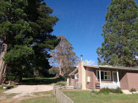 A Place To Stay In Weldborough - Accommodation NSW 0